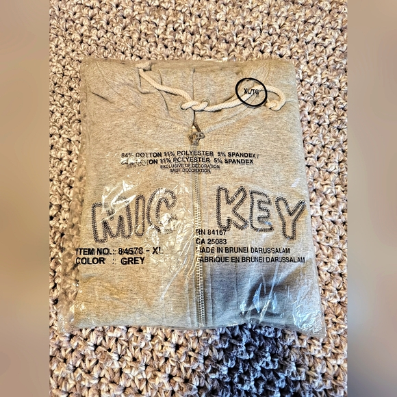 Mickey Mouse Hooded Sweatshirt 💥NWT💥 - Picture 1 of 2